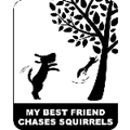 Chases Squirrels